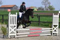 CSO-photos-concours-saut-obstacles-49