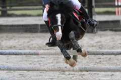 CSO-photos-concours-saut-obstacles-56