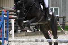 CSO-photos-concours-saut-obstacles-58