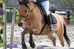 CSO-photos-concours-saut-obstacles-59