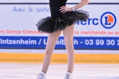 danse-sur-glace-46