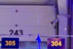 Dachser-bestof-bdef-24