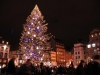 marche-noel-strasbourg-(297)