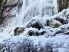 DSC_7187-copie