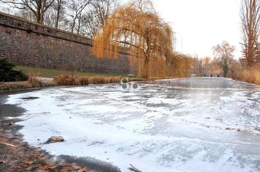 Parc de la Citadelle Strasbourg Photo Photographe Alsace