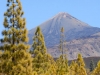 tenerife-(292)