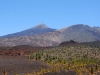 tenerife-(298)