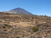 tenerife-(417)