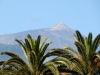 tenerife-(66)