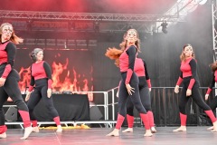 photographe-spectacle-vivant-3