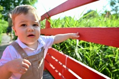 mathys-23