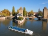 ponts-couverts-(80)