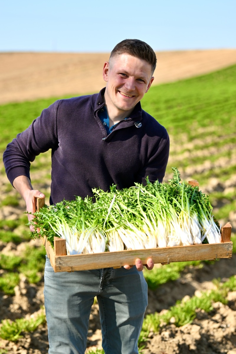 Terre-azur-Weishaupt-Kuttolsheim-bdef-3