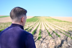 Terre-azur-Weishaupt-Kuttolsheim-bdef-1