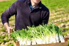 Terre-azur-Weishaupt-Kuttolsheim-bdef-3