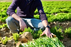 Terre-azur-Weishaupt-Kuttolsheim-bdef-5