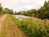 rhin-(8)