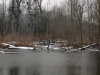 rohrschollen-(62)