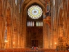 rosace-orgue-cathedrale-strasbourg-(5)