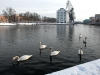 strasbourg-neige-(81)