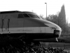 tgv-(12)