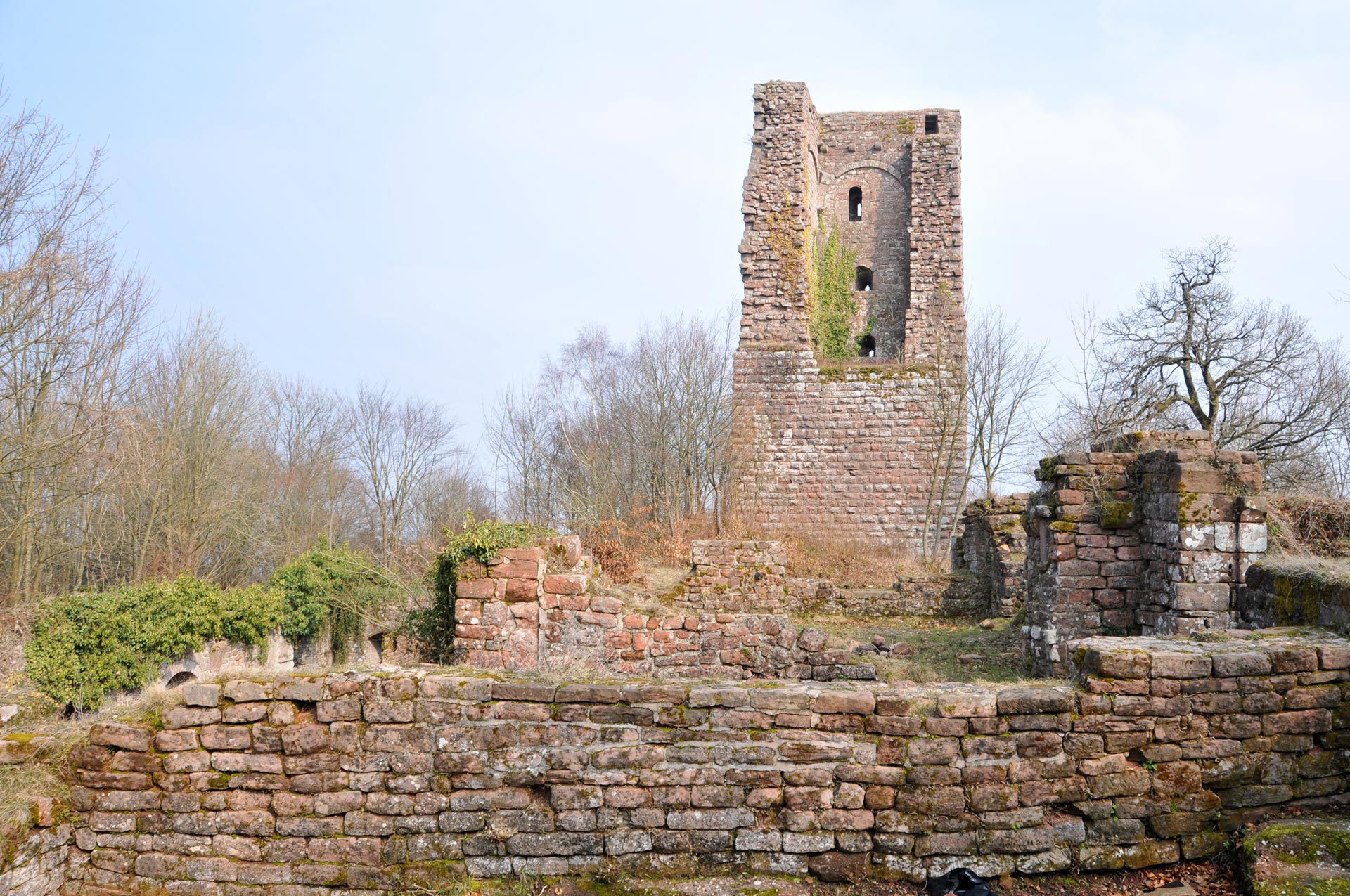 Une Ruine Ruines de Châteaux Forts sur les hauteurs de Saverne